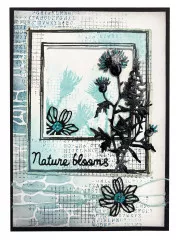 Studio Light - Cutting Dies - Natures Dream 2 Nr. 890 - Floral Elements