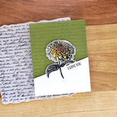 Simon Hurley 6x6 Cling Stamps - Handwritten Background