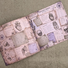 The Anatomist's Cabinet - 8x8 Paper Book