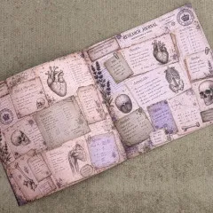 The Anatomist's Cabinet - 8x8 Paper Book