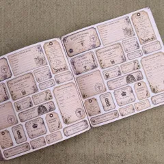 The Anatomist's Cabinet - 8x8 Paper Book