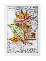 Studio Light Clear Stamps - Feelings of Freedom Nr. 420 - Script Strelitzia