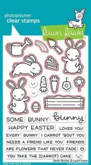 Clear Stamps - Some Bunny