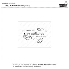 Lawn Fawn Clear Stamps - You Autumn Know