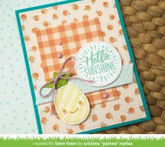 Lawn Cuts Custom Craft Dies - Fruit Tiny Tags