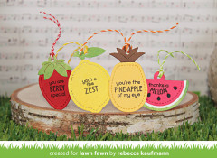 Lawn Cuts Custom Craft Dies - Fruit Tiny Tags