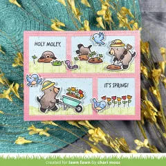 Clear Stamps - A Mole Lot Of Flowers