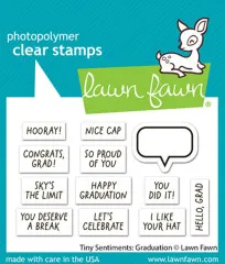 Clear Stamps - Tiny Sentiments Graduation