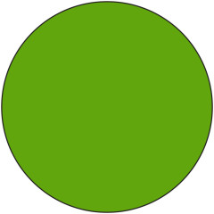 Liquid Pearls - Kiwi