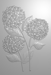 Embossing Folder - Hydrangea - Hydrangea Blooms