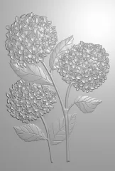 Embossing Folder - Hydrangea - Hydrangea Blooms