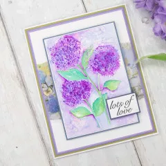 Embossing Folder - Hydrangea - Hydrangea Blooms