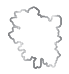 Clear Stamp & Cutting Die - Midnight Floral - Butterfly & Rose Blooms