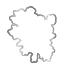 Clear Stamp & Cutting Die - Midnight Floral - Butterfly & Rose Blooms