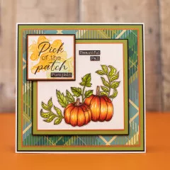 Clear Stamps - Thankful & Blessed - Pumpkin Corner