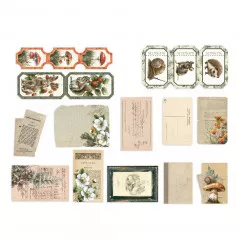 Piatek13 - Paper Ephemera Set - Into the Woods - Snippets