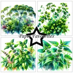 Paper Favourites - Herbs - 6x6 Paper Pack
