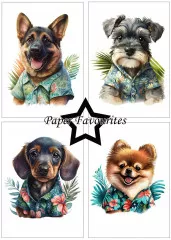 Paper Favourites - Summer Dogs - A5 Paper Pack