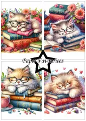 Paper Favourites - Sleeping Cats - A5 Paper Pack