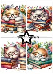 Paper Favourites - Sleeping Cats - A5 Paper Pack