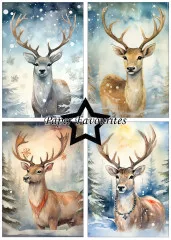 Paper Favourites - Christmas Stag - A5 Paper Pack