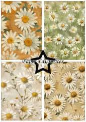 Paper Favourites - Vintage Daisies - A5 Paper Pack