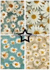 Paper Favourites - Vintage Daisies - A5 Paper Pack