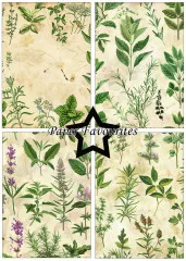 Paper Favourites - Kitchen Herbs - A5 Paper Pack