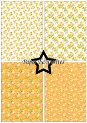 Paper Favourites - Easter Chicks & Ducks - A5 Paper Pack