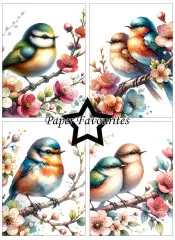 Paper Favourites - Birds and Flowers - A6 Paper Pack