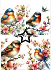 Paper Favourites - Birds and Flowers - A6 Paper Pack