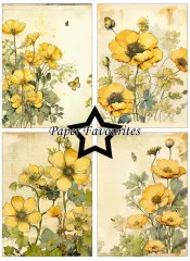 Paper Favourites - Buttercup - A6 Paper Pack