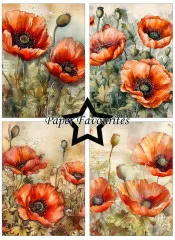 Paper Favourites - Poppy - A6 Paper Pack