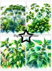 Paper Favourites - Herbs - A6 Paper Pack