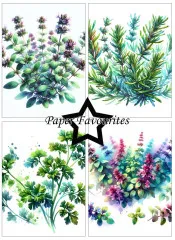 Paper Favourites - Herbs - A6 Paper Pack