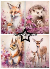 Paper Favourites - Wildlife - A6 Paper Pack