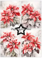 Paper Favourites - Poinsettia - A6 Paper Pack