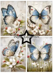Paper Favourites - Grunge Butterflies - A6 Paper Pack