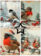 Paper Favourites - Silent Winter - A6 Paper Pack