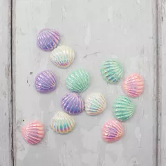 Enchanted Ocean - Shells