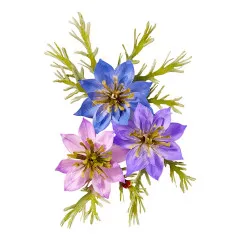 Spellbinders Etched Dies - The Poet's Garden - Love-in-a-Mist