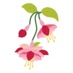 Spellbinders Etched Dies - Magical Fuchsia by Alex Syberia