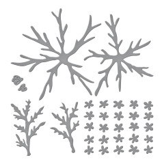 Spellbinders Etched Dies - Through the Arbor Garden - Queen Anne's Lace and Ladybugs