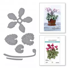 Spellbinders Etched Dies - Cyclamen