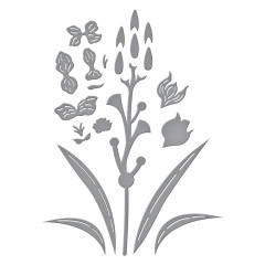 Spellbinders Etched Dies - Wildflowers - Layered Gladiolus