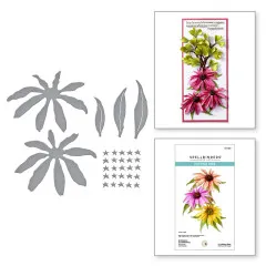 Spellbinders Etched Dies - Summer Solstice Garden - Echinacea (Coneflower)