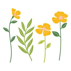 Spellbinders Etched Dies - Poppy Song - Leaf & Bloom