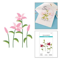Spellbinders Etched Dies - Summertime - Stargazers by Lisa Horton