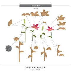 Spellbinders Etched Dies - Summertime - Stargazers by Lisa Horton