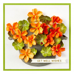 Spellbinders Etched Dies - Nasturtium and Galvanized Wash Bucket